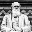 Darwin